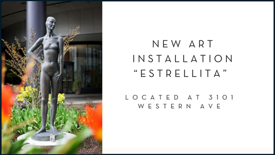 New Art Installation “Estrellita” at 3101 Western Avenue